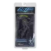Alien vs Predator - Grid Alien