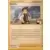 Cardus Play! Pokémon