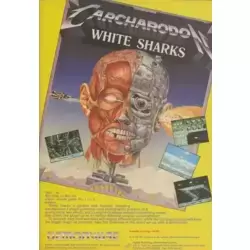 Carcharodon: White Sharks