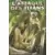 Tomes 7 et 8