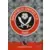 Adrenalyn XL Premier League 2023/24 - Badge