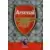 Adrenalyn XL Premier League 2023/24 - Badge