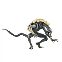 Aliens vs Predator- Chrisalis Arcede Appearance
