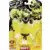 Goo Jit Zu - Glow Shifters - Glow Shifters - Scorpius