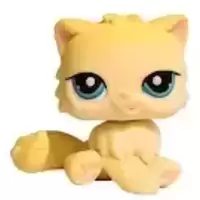 LPS 428