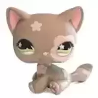 LPS 467
