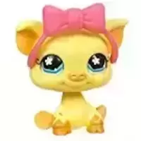 LPS 475