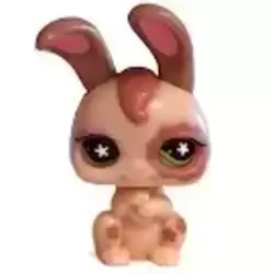 LPS 488