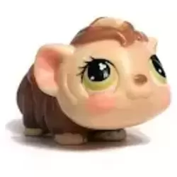LPS 494