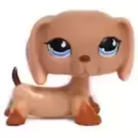 LPS 518