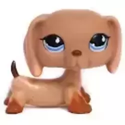 LPS 518