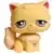 LPS 527