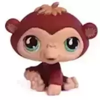 LPS 529