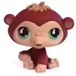 LPS 529