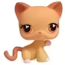 LPS 533