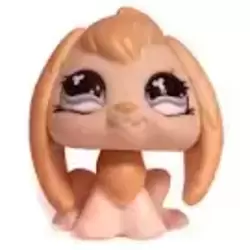 LPS 542