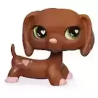 LPS 556