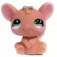 LPS 565