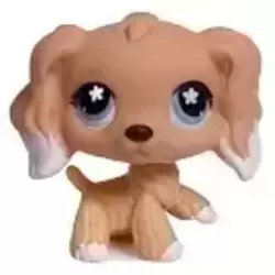 LPS 568