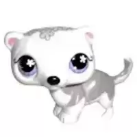 LPS 569