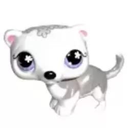 LPS 569