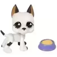 LPS 577