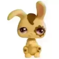 LPS 582