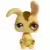 LPS 582