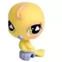 LPS 605