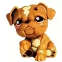 LPS 607