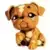 LPS 607