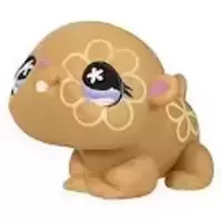 LPS 624