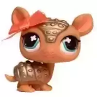 LPS 638