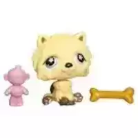 LPS 662