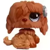 LPS 678