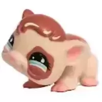 LPS 683
