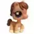 LPS 684