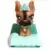 Littlest Pet shop - Generation 2 - LPS 691