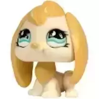 LPS 717