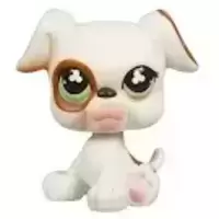 LPS 738
