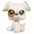 LPS 738