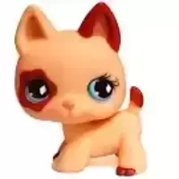 LPS 744