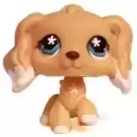 LPS 748