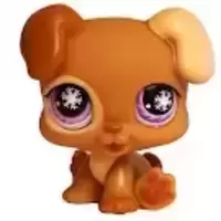 LPS 760