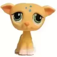 LPS 875