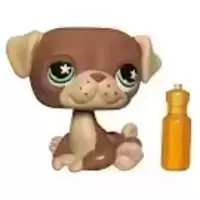 LPS 889
