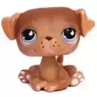 LPS 901
