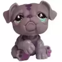 LPS 916