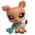 LPS 1123