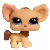 LPS 1171